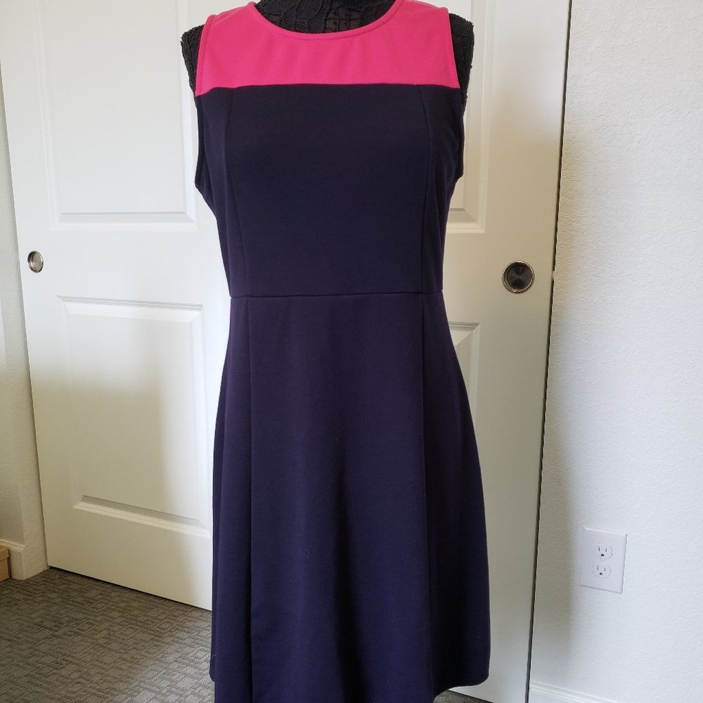 41 Hawthorn Blue and Pink Fit and Flare Dress